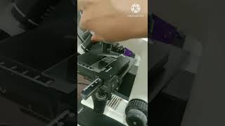 Working Of Compound Microscope