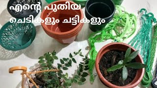 My new Plants & Pots with their prices | എന്റെ പുതിയ ചെടികളും ചട്ടികളും അതിന്റെ വിലയും