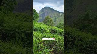 Mountains have a soul💚❤️ #travelshorts #mountains #srilanka