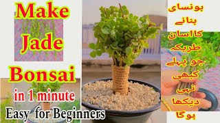 Make jade bonsai in one minute|for beginners in easy ay| Make bonsai from cutting| gardenista🌿