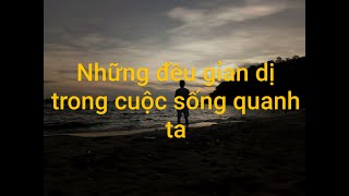 Đâu là những điều giản dị trong cuộc sống ?