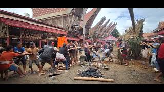 Prosesi Ma'pabendan Simbuang Induk