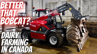 Is This A Viable Bobcat Replacement? Weidemann T4512 Demo!