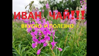 ИВАН ЧАЙ вкусно и полезно.