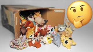 I bought an LPS mystery box?