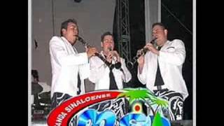 banda ms-tamarindo