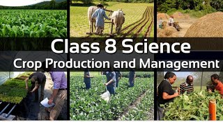 Crop production and its management