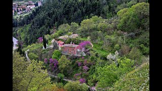 Città e Borghi🐌 Fossombrone