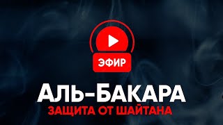 Защита ОТ ШАЙТАНА НА ВСЮ НОЧЬ❗️Сура ''Аль-Бакара''