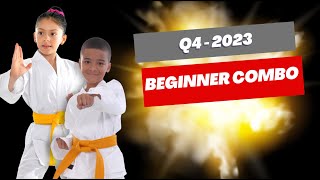 Q4 2023 - Beginner Combination