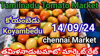 14-09-24| today Tomato rate in koyambed market || Chennai tomato market rate today| rate increase