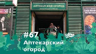 #67, Ботанический сад Аптекарский огород, 9.09.2018