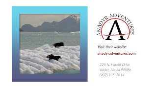 COV Business Spotlight Program - featuring Anadyr Adventures