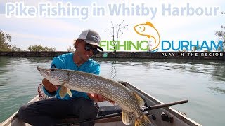 TIMP series [Teaser]: Pike fishing in the Whitby Harbour! #FishingDurham