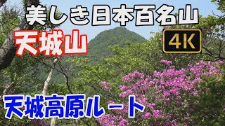 【天城山】美しき日本百名山。天城高原シャクナゲル－ト。ツツジ、シャクナゲが美しい万二郎岳から万三郎岳への稜線へ。ver.2