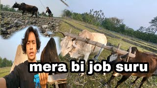 mero bi job suru