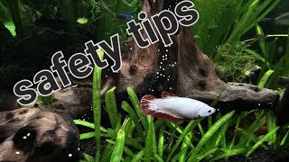 MUST WATCH - Safety Measures for Your Aquarium and Fish - Safety tips for aquarium maintenance