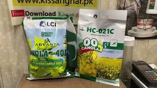 Make your healthy cooking oil at home with Canola 021 And Hyola 401 Seed Crop | Kissan Ghar | price