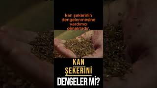 Keten tohumu kan şekerini dengeler mi? Cilt sağlığına iyi gelir mi? #shortsvideo