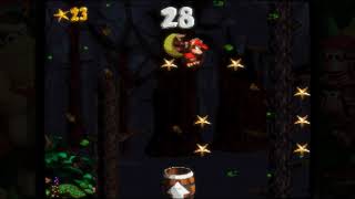 Donkey Kong Country 2 - 29 - World 5 Level 3 - Gusty Glade