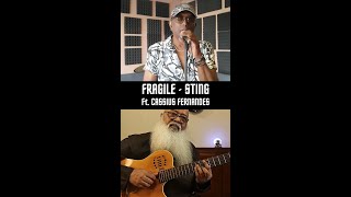 Fragile - Sting - Ft. Cassius Fernandes