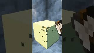 optical illusion cheese #shorts #minecraft