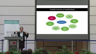 SPP Berlin 2018: Agnieszka Pastula (TUM) - 'Myofibroblasts as critical regulators of tumor...'