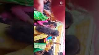 Fulmasti dance Short video