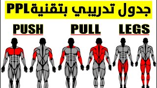 برنامج Push Pull Legs للتضخيم وفرقعة عضلاتك بسرعة