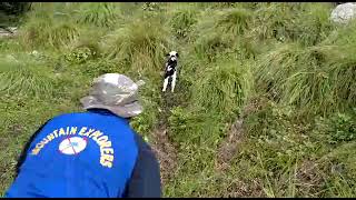 cute baby and sheep rescued