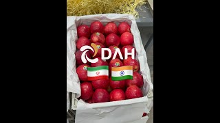 Exporting Iranian RED DELECIOUS APPLE