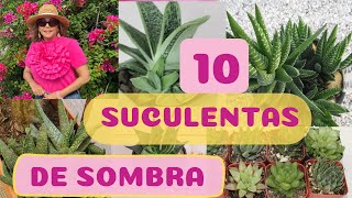 TOP 10 SUCULENTAS DE SOMBRA! IDEALES PARA EL INTERIOR DE NUESTRA CASA 🏡 #suculentas #jardín #tour #