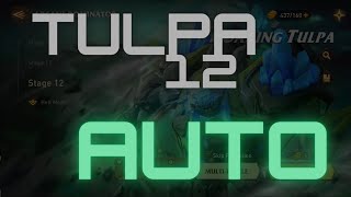 My AUTO Stage 12 Tulpa Dungeon Run || Awaken: Chaos Era