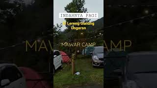 MAWAR CAMP GROUND || Sidomukti Ungaran Semarang || CAMPING BASECAMP Gunung Ungaran #shorts