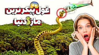 غول پیکر ترین مار دنیا | قوی تر از دایناسور ها 🐍🤯