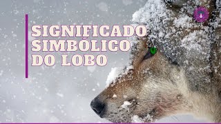 SIGNIFICADO SIMBÓLICO DO LOBO | SIMBOLISMO E  ARQUÉTIPO DO LOBO