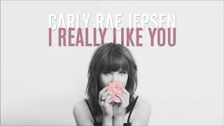 Carly Rae Jepsen   I Really Like You