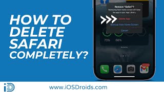 How to Delete Safari Browser from iPhone/iPad?