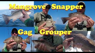 Mangrove Snapper & Gag Grouper Fishing & Catching in Tampa Bay near the Skyway Bridge.