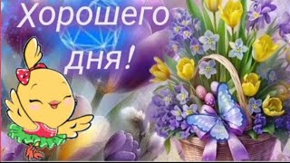 Здравствуй, новый день! 🌸☀️🦋 #музыкальныйприветик #МУЗЫКАЛЬНАЯОТКРЫТКА