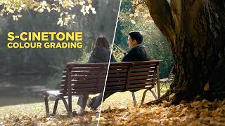 Sony's EASY Colour Grading Tool - S-Cinetone Sony A7s III