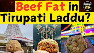 Beef Fat in Tirupati Laddu? | Allegations and Clarifications on Tirupati Laddu Controversy