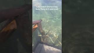 Lake video! (only part) #swimming #grass #outdoors #water #lake #fish