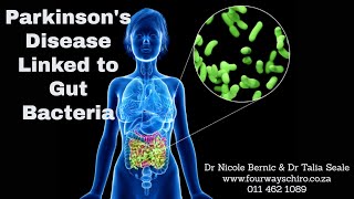 Parkinson's Disease Linked to Gut Bacteria