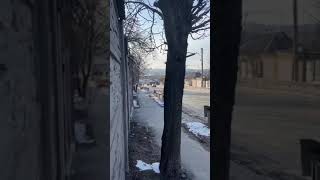 ВС РФ прорвало оборону в Харькове. И наши войска уже замечены в городе!!!