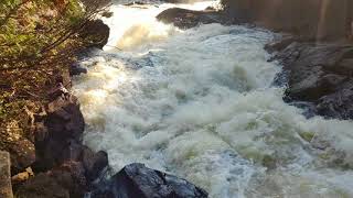 Ragged Falls oxtongue lake