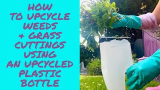 How to make natural plant feed by upcycling