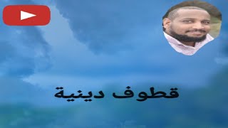 الصبر وأبرز انواعه