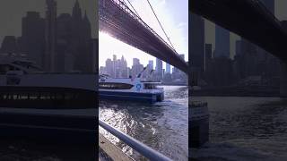 New York City Ferry under the Brooklyn Bridge and Manhattan skyline • New York City #brooklyn #nyc