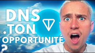 L'OPPORTUNITÉ DES DNS TON (BLOCKCHAIN TELEGRAM) !